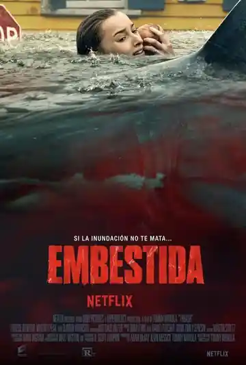 Embestida