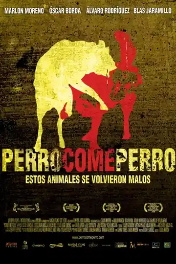 Perro come perro