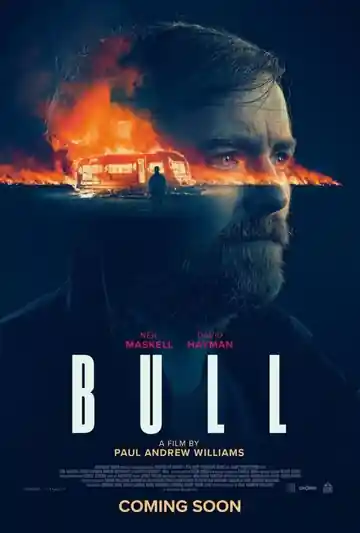 Bull: La hora de la venganza