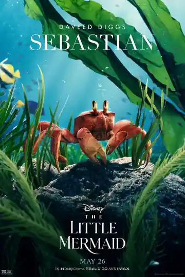 The Little Mermaid