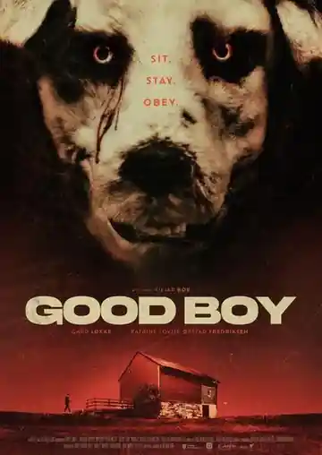 Good Boy
