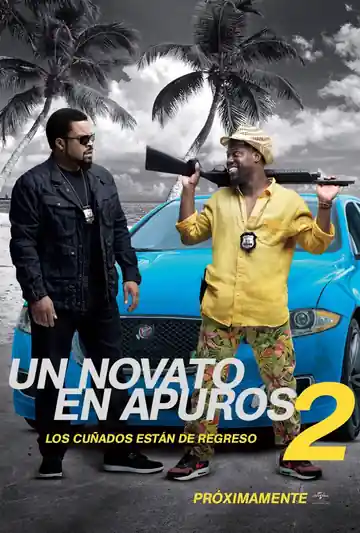 Un Novato en Apuros 2
