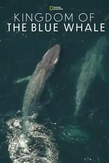 El Reino de la Ballena Azul