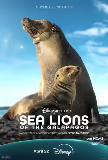 Leones marinos de las Galápagos