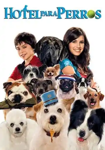 Hotel Para Perros