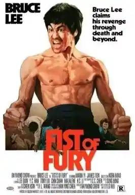 Puño De Furia
