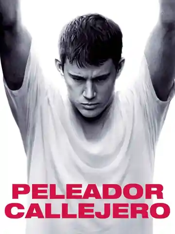 Peleador Callejero