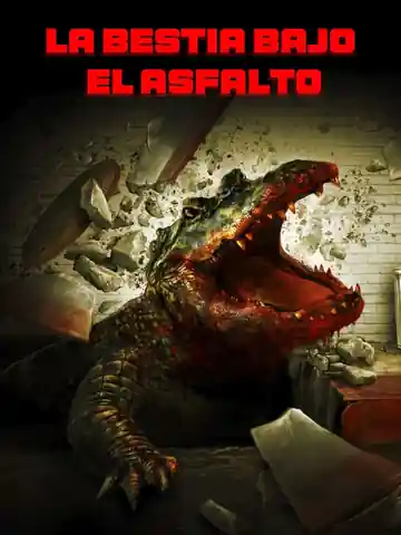Alligator