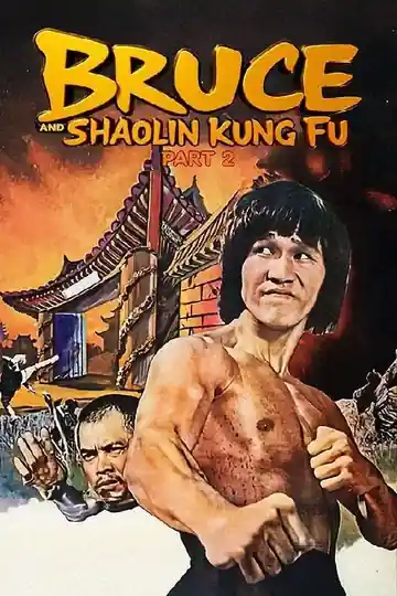 Bruce and Shaolin Kung Fu 2