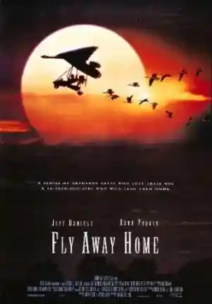 Volando a Casa