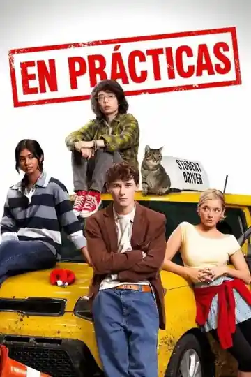 Licencia para Robar