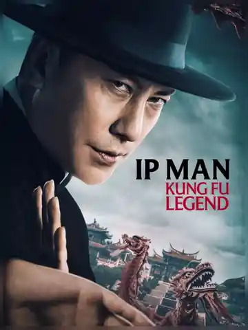 Ip Man Kung Fu Legend