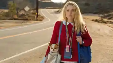 Un Nuevo Camino