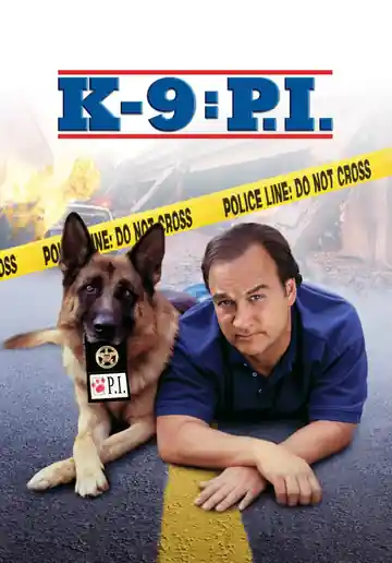 K-nino: Investigadores Privados