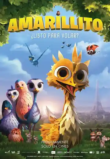 Amarillito