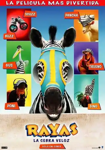 Rayas, una Cebra Veloz