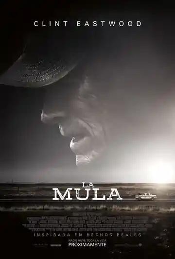 La Mula