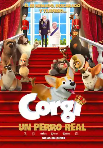 Corgi: Un Perro Real
