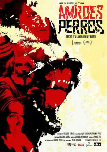 Amores Perros