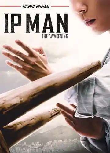 Ip Man El Despertar ︎
