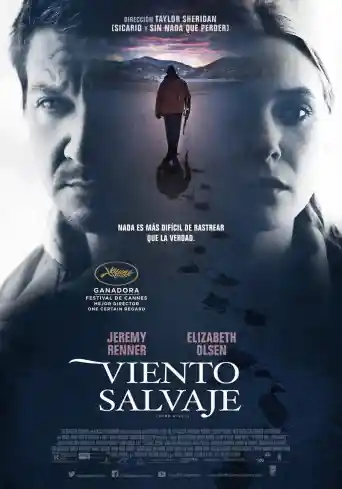 Viento Salvaje
