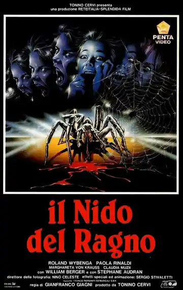 Il Nido Del Ragno