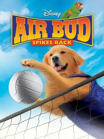 Air Bud 5: El Gran Remate