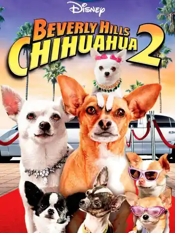 Una Chihuahua De Beverly Hills 2