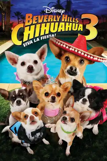 Una Chihuahua De Beverly Hills 3
