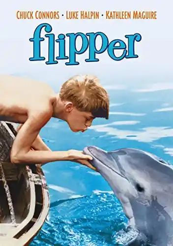 Mi Amigo Flipper - Flipper