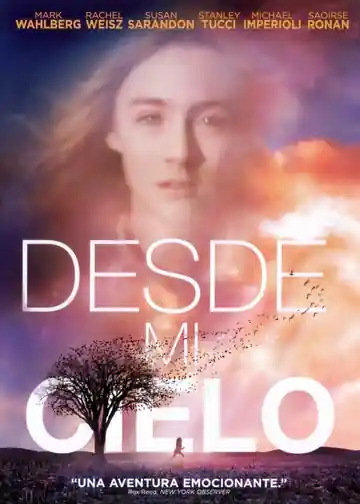 Desde Mi Cielo